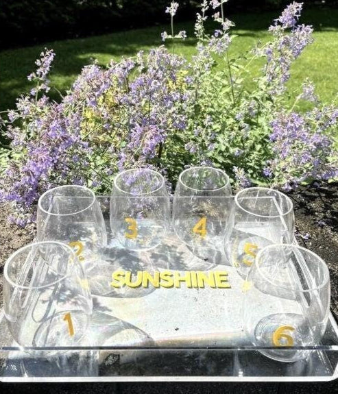 personalized 11" x 14" clear acrylic tray with your name and 6 stemless wine glasses with vinyl numbers