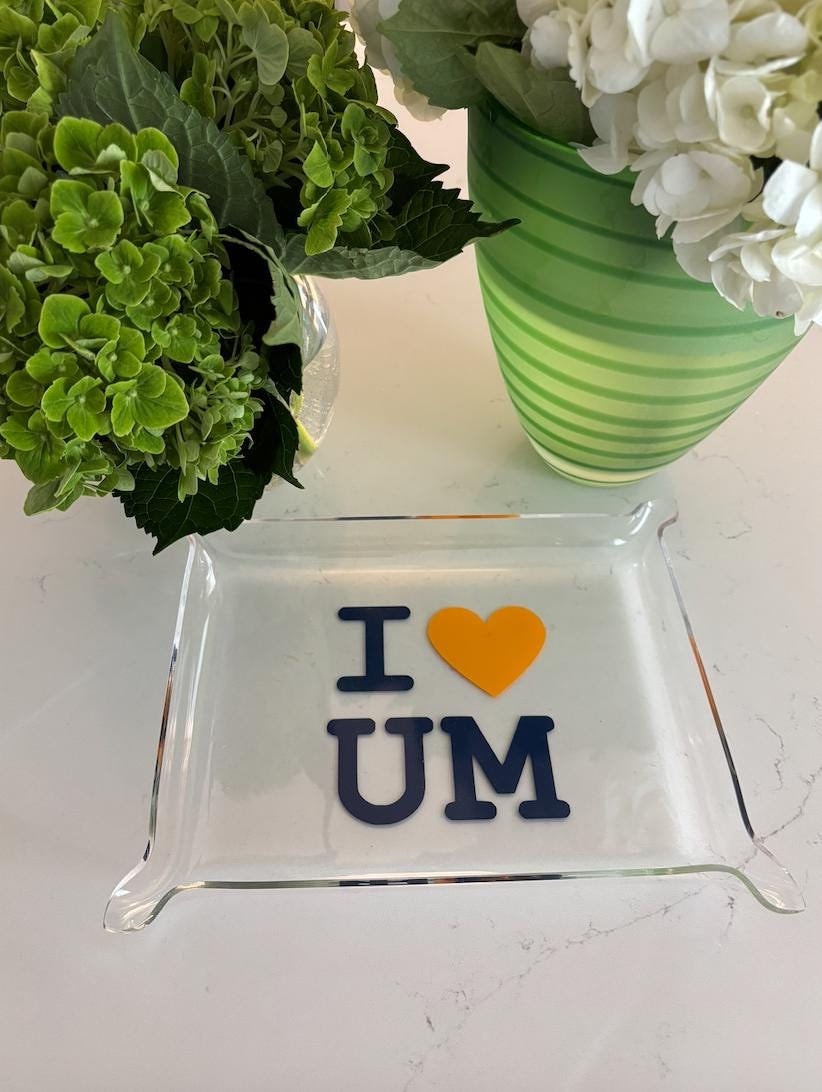 i heart my College 6" x 8" acrylic Pinch Tray - Michigan University