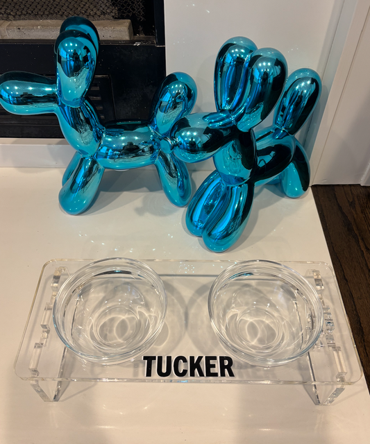 Personalized clear acrylic dog bowl set with your dogs name- small dog- 3.75"