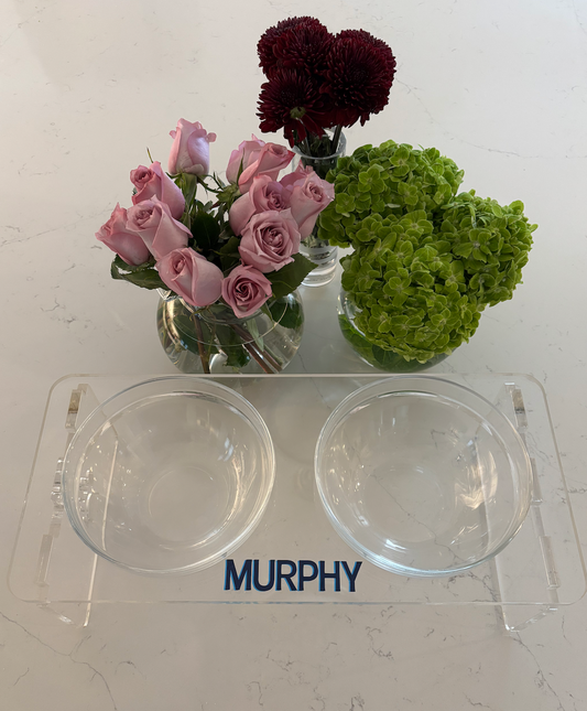 Personalized clear acrylic dog bowl set with your dogs name- small dog- 3.75"